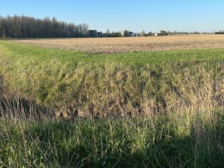 Property photo 32 - LAND AUCTION - 59+/- ACRES OFFERED IN 4 TRACTS IN ALLEN COUNTY, INDIANA
