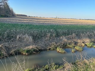 Property photo 31 - LAND AUCTION - 59+/- ACRES OFFERED IN 4 TRACTS IN ALLEN COUNTY, INDIANA