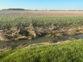Property photo 25 - LAND AUCTION - 59+/- ACRES OFFERED IN 4 TRACTS IN ALLEN COUNTY, INDIANA