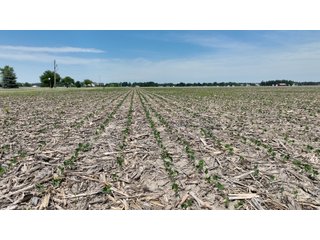 Property photo 1 - LAND AUCTION - 59+/- ACRES OFFERED IN 4 TRACTS IN ALLEN COUNTY, INDIANA