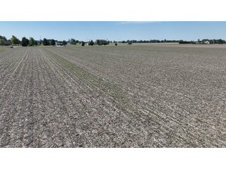 Property photo 9 - LAND AUCTION - 59+/- ACRES OFFERED IN 4 TRACTS IN ALLEN COUNTY, INDIANA