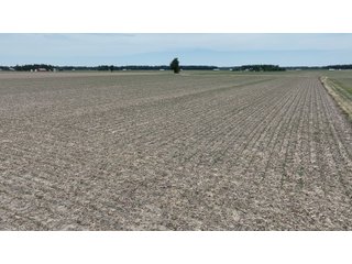 Property photo 10 - LAND AUCTION - 59+/- ACRES OFFERED IN 4 TRACTS IN ALLEN COUNTY, INDIANA