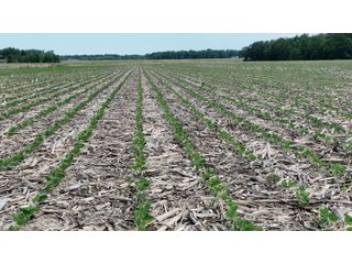 Property photo 11 - LAND AUCTION - 59+/- ACRES OFFERED IN 4 TRACTS IN ALLEN COUNTY, INDIANA