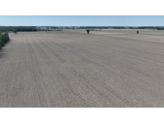 Property photo 6 - LAND AUCTION - 59+/- ACRES OFFERED IN 4 TRACTS IN ALLEN COUNTY, INDIANA