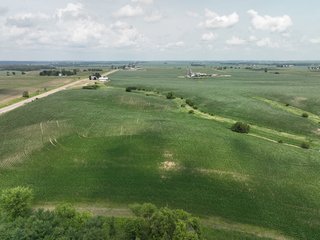 Property photo 13 - NICE FAMILY AND FARMLAND AUCTION - 239+/- ACRES OFFERED IN 7 TRACTS IN WHITESIDE COUNTY, ILLINOIS