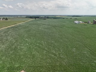 Property photo 8 - NICE FAMILY AND FARMLAND AUCTION - 239+/- ACRES OFFERED IN 7 TRACTS IN WHITESIDE COUNTY, ILLINOIS