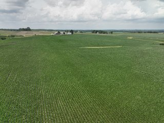 Property photo 16 - NICE FAMILY AND FARMLAND AUCTION - 239+/- ACRES OFFERED IN 7 TRACTS IN WHITESIDE COUNTY, ILLINOIS
