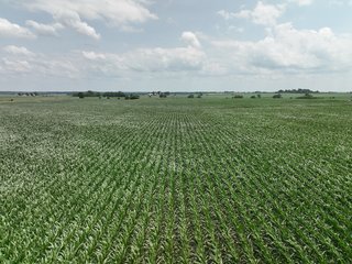 Property photo 11 - NICE FAMILY AND FARMLAND AUCTION - 239+/- ACRES OFFERED IN 7 TRACTS IN WHITESIDE COUNTY, ILLINOIS