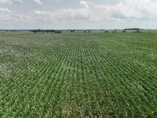 Property photo 10 - NICE FAMILY AND FARMLAND AUCTION - 239+/- ACRES OFFERED IN 7 TRACTS IN WHITESIDE COUNTY, ILLINOIS