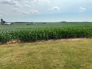 Property photo 42 - NICE FAMILY AND FARMLAND AUCTION - 239+/- ACRES OFFERED IN 7 TRACTS IN WHITESIDE COUNTY, ILLINOIS