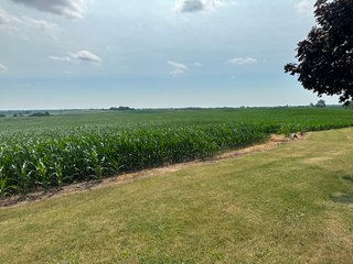 Property photo 44 - NICE FAMILY AND FARMLAND AUCTION - 239+/- ACRES OFFERED IN 7 TRACTS IN WHITESIDE COUNTY, ILLINOIS