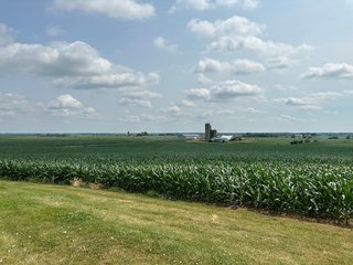 Property photo 19 - NICE FAMILY AND FARMLAND AUCTION - 239+/- ACRES OFFERED IN 7 TRACTS IN WHITESIDE COUNTY, ILLINOIS
