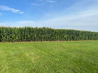 Property photo 21 - NICE FAMILY AND FARMLAND AUCTION - 239+/- ACRES OFFERED IN 7 TRACTS IN WHITESIDE COUNTY, ILLINOIS