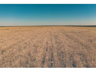Property photo 4 - QUALITY IRRIGATED & ORGANIC COLORADO LAND AUCTION - 6,673+/- ACRES IN BENT & PROWERS COUNTIES, COLORADO. OWNERS WILL ENTERTAIN NON-CONTINGENT OFFERS ON THE PORTFOLIO UNTIL SEPTEMBER 6th. AUCTION SCHEDULED FOR OCT 24th.