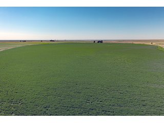 Property photo 2 - QUALITY IRRIGATED & ORGANIC COLORADO LAND AUCTION - 6,673+/- ACRES IN BENT & PROWERS COUNTIES, COLORADO. OWNERS WILL ENTERTAIN NON-CONTINGENT OFFERS ON THE PORTFOLIO UNTIL SEPTEMBER 6th. AUCTION SCHEDULED FOR OCT 24th.