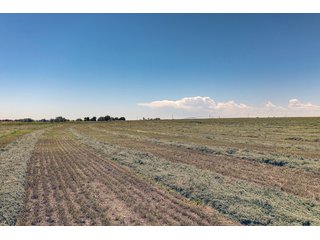 Property photo 7 - QUALITY IRRIGATED & ORGANIC COLORADO LAND AUCTION - 6,673+/- ACRES IN BENT & PROWERS COUNTIES, COLORADO. OWNERS WILL ENTERTAIN NON-CONTINGENT OFFERS ON THE PORTFOLIO UNTIL SEPTEMBER 6th. AUCTION SCHEDULED FOR OCT 24th.