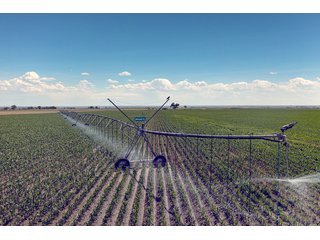Property photo 10 - QUALITY IRRIGATED & ORGANIC COLORADO LAND AUCTION - 6,673+/- ACRES IN BENT & PROWERS COUNTIES, COLORADO. OWNERS WILL ENTERTAIN NON-CONTINGENT OFFERS ON THE PORTFOLIO UNTIL SEPTEMBER 6th. AUCTION SCHEDULED FOR OCT 24th.