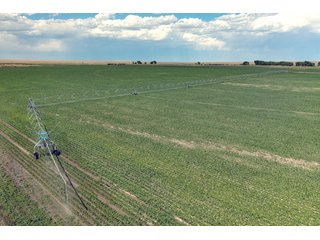 Property photo 11 - QUALITY IRRIGATED & ORGANIC COLORADO LAND AUCTION - 6,673+/- ACRES IN BENT & PROWERS COUNTIES, COLORADO. OWNERS WILL ENTERTAIN NON-CONTINGENT OFFERS ON THE PORTFOLIO UNTIL SEPTEMBER 6th. AUCTION SCHEDULED FOR OCT 24th.