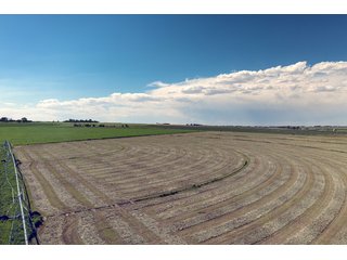 Property photo 14 - QUALITY IRRIGATED & ORGANIC COLORADO LAND AUCTION - 6,673+/- ACRES IN BENT & PROWERS COUNTIES, COLORADO. OWNERS WILL ENTERTAIN NON-CONTINGENT OFFERS ON THE PORTFOLIO UNTIL SEPTEMBER 6th. AUCTION SCHEDULED FOR OCT 24th.