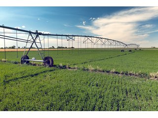 Property photo 18 - QUALITY IRRIGATED & ORGANIC COLORADO LAND AUCTION - 6,673+/- ACRES IN BENT & PROWERS COUNTIES, COLORADO. OWNERS WILL ENTERTAIN NON-CONTINGENT OFFERS ON THE PORTFOLIO UNTIL SEPTEMBER 6th. AUCTION SCHEDULED FOR OCT 24th.