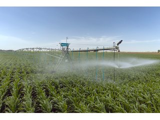 Property photo 25 - QUALITY IRRIGATED & ORGANIC COLORADO LAND AUCTION - 6,673+/- ACRES IN BENT & PROWERS COUNTIES, COLORADO. OWNERS WILL ENTERTAIN NON-CONTINGENT OFFERS ON THE PORTFOLIO UNTIL SEPTEMBER 6th. AUCTION SCHEDULED FOR OCT 24th.