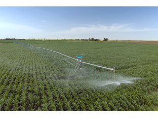 Property photo 26 - QUALITY IRRIGATED & ORGANIC COLORADO LAND AUCTION - 6,673+/- ACRES IN BENT & PROWERS COUNTIES, COLORADO. OWNERS WILL ENTERTAIN NON-CONTINGENT OFFERS ON THE PORTFOLIO UNTIL SEPTEMBER 6th. AUCTION SCHEDULED FOR OCT 24th.