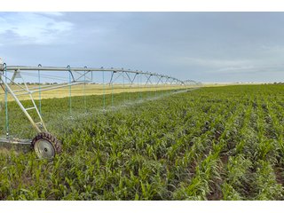 Property photo 29 - QUALITY IRRIGATED & ORGANIC COLORADO LAND AUCTION - 6,673+/- ACRES IN BENT & PROWERS COUNTIES, COLORADO. OWNERS WILL ENTERTAIN NON-CONTINGENT OFFERS ON THE PORTFOLIO UNTIL SEPTEMBER 6th. AUCTION SCHEDULED FOR OCT 24th.
