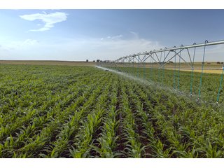 Property photo 30 - QUALITY IRRIGATED & ORGANIC COLORADO LAND AUCTION - 6,673+/- ACRES IN BENT & PROWERS COUNTIES, COLORADO. OWNERS WILL ENTERTAIN NON-CONTINGENT OFFERS ON THE PORTFOLIO UNTIL SEPTEMBER 6th. AUCTION SCHEDULED FOR OCT 24th.