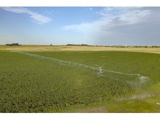 Property photo 31 - QUALITY IRRIGATED & ORGANIC COLORADO LAND AUCTION - 6,673+/- ACRES IN BENT & PROWERS COUNTIES, COLORADO. OWNERS WILL ENTERTAIN NON-CONTINGENT OFFERS ON THE PORTFOLIO UNTIL SEPTEMBER 6th. AUCTION SCHEDULED FOR OCT 24th.