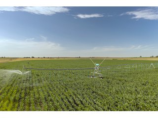 Property photo 33 - QUALITY IRRIGATED & ORGANIC COLORADO LAND AUCTION - 6,673+/- ACRES IN BENT & PROWERS COUNTIES, COLORADO. OWNERS WILL ENTERTAIN NON-CONTINGENT OFFERS ON THE PORTFOLIO UNTIL SEPTEMBER 6th. AUCTION SCHEDULED FOR OCT 24th.