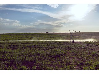 Property photo 34 - QUALITY IRRIGATED & ORGANIC COLORADO LAND AUCTION - 6,673+/- ACRES IN BENT & PROWERS COUNTIES, COLORADO. OWNERS WILL ENTERTAIN NON-CONTINGENT OFFERS ON THE PORTFOLIO UNTIL SEPTEMBER 6th. AUCTION SCHEDULED FOR OCT 24th.