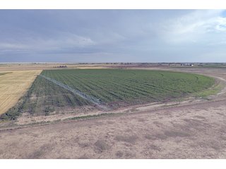 Property photo 35 - QUALITY IRRIGATED & ORGANIC COLORADO LAND AUCTION - 6,673+/- ACRES IN BENT & PROWERS COUNTIES, COLORADO. OWNERS WILL ENTERTAIN NON-CONTINGENT OFFERS ON THE PORTFOLIO UNTIL SEPTEMBER 6th. AUCTION SCHEDULED FOR OCT 24th.