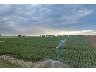 Property photo 36 - QUALITY IRRIGATED & ORGANIC COLORADO LAND AUCTION - 6,673+/- ACRES IN BENT & PROWERS COUNTIES, COLORADO. OWNERS WILL ENTERTAIN NON-CONTINGENT OFFERS ON THE PORTFOLIO UNTIL SEPTEMBER 6th. AUCTION SCHEDULED FOR OCT 24th.