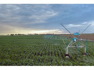 Property photo 37 - QUALITY IRRIGATED & ORGANIC COLORADO LAND AUCTION - 6,673+/- ACRES IN BENT & PROWERS COUNTIES, COLORADO. OWNERS WILL ENTERTAIN NON-CONTINGENT OFFERS ON THE PORTFOLIO UNTIL SEPTEMBER 6th. AUCTION SCHEDULED FOR OCT 24th.