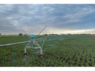 Property photo 38 - QUALITY IRRIGATED & ORGANIC COLORADO LAND AUCTION - 6,673+/- ACRES IN BENT & PROWERS COUNTIES, COLORADO. OWNERS WILL ENTERTAIN NON-CONTINGENT OFFERS ON THE PORTFOLIO UNTIL SEPTEMBER 6th. AUCTION SCHEDULED FOR OCT 24th.