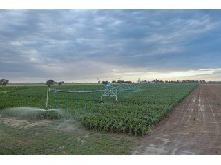 Property photo 39 - QUALITY IRRIGATED & ORGANIC COLORADO LAND AUCTION - 6,673+/- ACRES IN BENT & PROWERS COUNTIES, COLORADO. OWNERS WILL ENTERTAIN NON-CONTINGENT OFFERS ON THE PORTFOLIO UNTIL SEPTEMBER 6th. AUCTION SCHEDULED FOR OCT 24th.