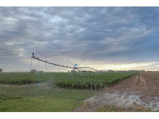 Property photo 40 - QUALITY IRRIGATED & ORGANIC COLORADO LAND AUCTION - 6,673+/- ACRES IN BENT & PROWERS COUNTIES, COLORADO. OWNERS WILL ENTERTAIN NON-CONTINGENT OFFERS ON THE PORTFOLIO UNTIL SEPTEMBER 6th. AUCTION SCHEDULED FOR OCT 24th.