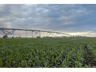 Property photo 41 - QUALITY IRRIGATED & ORGANIC COLORADO LAND AUCTION - 6,673+/- ACRES IN BENT & PROWERS COUNTIES, COLORADO. OWNERS WILL ENTERTAIN NON-CONTINGENT OFFERS ON THE PORTFOLIO UNTIL SEPTEMBER 6th. AUCTION SCHEDULED FOR OCT 24th.