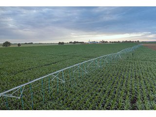 Property photo 42 - QUALITY IRRIGATED & ORGANIC COLORADO LAND AUCTION - 6,673+/- ACRES IN BENT & PROWERS COUNTIES, COLORADO. OWNERS WILL ENTERTAIN NON-CONTINGENT OFFERS ON THE PORTFOLIO UNTIL SEPTEMBER 6th. AUCTION SCHEDULED FOR OCT 24th.