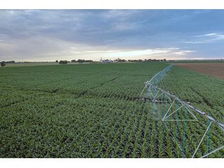 Property photo 43 - QUALITY IRRIGATED & ORGANIC COLORADO LAND AUCTION - 6,673+/- ACRES IN BENT & PROWERS COUNTIES, COLORADO. OWNERS WILL ENTERTAIN NON-CONTINGENT OFFERS ON THE PORTFOLIO UNTIL SEPTEMBER 6th. AUCTION SCHEDULED FOR OCT 24th.