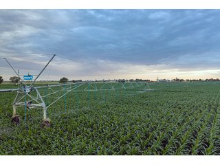 Property photo 45 - QUALITY IRRIGATED & ORGANIC COLORADO LAND AUCTION - 6,673+/- ACRES IN BENT & PROWERS COUNTIES, COLORADO. OWNERS WILL ENTERTAIN NON-CONTINGENT OFFERS ON THE PORTFOLIO UNTIL SEPTEMBER 6th. AUCTION SCHEDULED FOR OCT 24th.