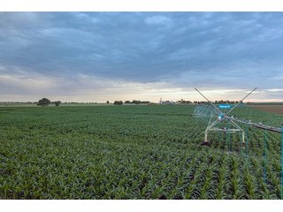 Property photo 46 - QUALITY IRRIGATED & ORGANIC COLORADO LAND AUCTION - 6,673+/- ACRES IN BENT & PROWERS COUNTIES, COLORADO. OWNERS WILL ENTERTAIN NON-CONTINGENT OFFERS ON THE PORTFOLIO UNTIL SEPTEMBER 6th. AUCTION SCHEDULED FOR OCT 24th.