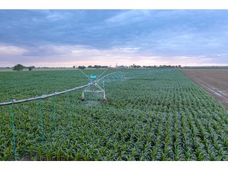 Property photo 47 - QUALITY IRRIGATED & ORGANIC COLORADO LAND AUCTION - 6,673+/- ACRES IN BENT & PROWERS COUNTIES, COLORADO. OWNERS WILL ENTERTAIN NON-CONTINGENT OFFERS ON THE PORTFOLIO UNTIL SEPTEMBER 6th. AUCTION SCHEDULED FOR OCT 24th.
