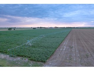 Property photo 49 - QUALITY IRRIGATED & ORGANIC COLORADO LAND AUCTION - 6,673+/- ACRES IN BENT & PROWERS COUNTIES, COLORADO. OWNERS WILL ENTERTAIN NON-CONTINGENT OFFERS ON THE PORTFOLIO UNTIL SEPTEMBER 6th. AUCTION SCHEDULED FOR OCT 24th.
