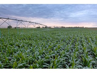 Property photo 52 - QUALITY IRRIGATED & ORGANIC COLORADO LAND AUCTION - 6,673+/- ACRES IN BENT & PROWERS COUNTIES, COLORADO. OWNERS WILL ENTERTAIN NON-CONTINGENT OFFERS ON THE PORTFOLIO UNTIL SEPTEMBER 6th. AUCTION SCHEDULED FOR OCT 24th.