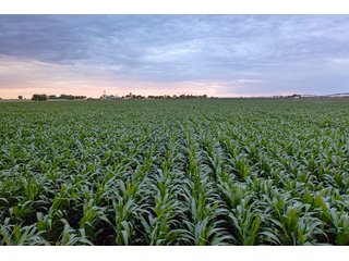 Property photo 53 - QUALITY IRRIGATED & ORGANIC COLORADO LAND AUCTION - 6,673+/- ACRES IN BENT & PROWERS COUNTIES, COLORADO. OWNERS WILL ENTERTAIN NON-CONTINGENT OFFERS ON THE PORTFOLIO UNTIL SEPTEMBER 6th. AUCTION SCHEDULED FOR OCT 24th.