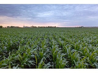 Property photo 54 - QUALITY IRRIGATED & ORGANIC COLORADO LAND AUCTION - 6,673+/- ACRES IN BENT & PROWERS COUNTIES, COLORADO. OWNERS WILL ENTERTAIN NON-CONTINGENT OFFERS ON THE PORTFOLIO UNTIL SEPTEMBER 6th. AUCTION SCHEDULED FOR OCT 24th.