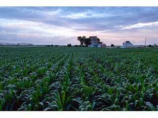 Property photo 55 - QUALITY IRRIGATED & ORGANIC COLORADO LAND AUCTION - 6,673+/- ACRES IN BENT & PROWERS COUNTIES, COLORADO. OWNERS WILL ENTERTAIN NON-CONTINGENT OFFERS ON THE PORTFOLIO UNTIL SEPTEMBER 6th. AUCTION SCHEDULED FOR OCT 24th.