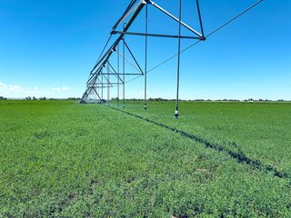 Property photo 57 - QUALITY IRRIGATED & ORGANIC COLORADO LAND AUCTION - 6,673+/- ACRES IN BENT & PROWERS COUNTIES, COLORADO. OWNERS WILL ENTERTAIN NON-CONTINGENT OFFERS ON THE PORTFOLIO UNTIL SEPTEMBER 6th. AUCTION SCHEDULED FOR OCT 24th.