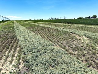 Property photo 58 - QUALITY IRRIGATED & ORGANIC COLORADO LAND AUCTION - 6,673+/- ACRES IN BENT & PROWERS COUNTIES, COLORADO. OWNERS WILL ENTERTAIN NON-CONTINGENT OFFERS ON THE PORTFOLIO UNTIL SEPTEMBER 6th. AUCTION SCHEDULED FOR OCT 24th.